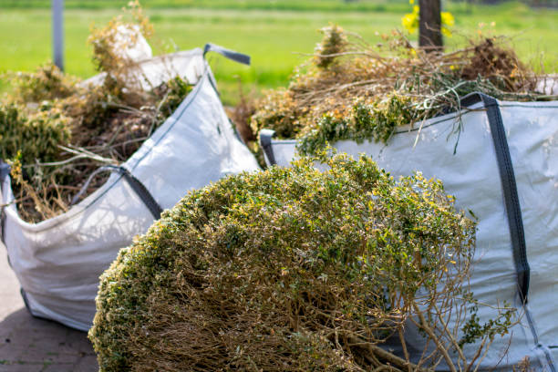 Best Household Junk Removal  in Salton City, CA